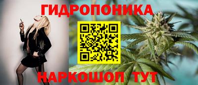 эйфоретик Свободный
