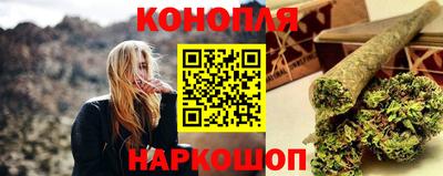 крисы Севастополь